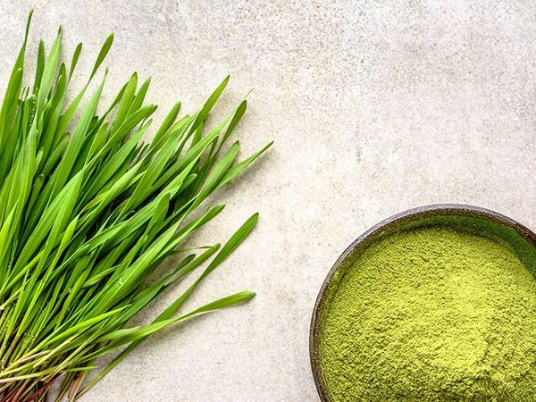 What Do Wheatgrass and Barley Grass Have in Common? Registered Dietitians Love Them!
