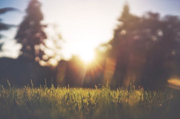 4 Ways to Optimize Your Morning for All-Day Success
