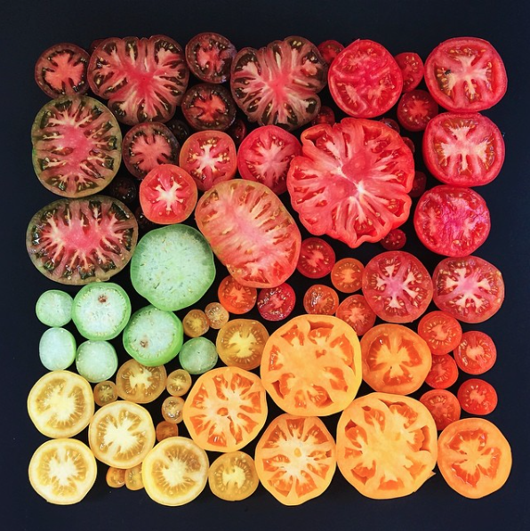 Farmers Market Highlight: The Rainbow-Hued World of the Heirloom Tomato