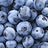Blueberries