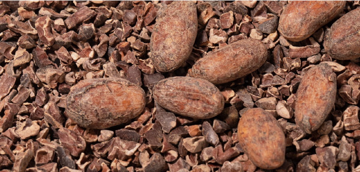 An image of brown cacao beans. Several whole beans are resting on a bed of ground-up cacao.